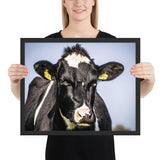 Tableau Tête de Vache Noir et Blanche