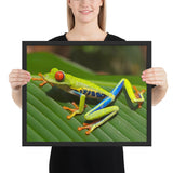Tableau Grenouille Multicolore