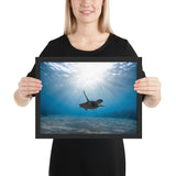 Tableau Déco Tortue de Mer