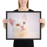 Tableau Chat Coloré Yeux Bleus et Verts