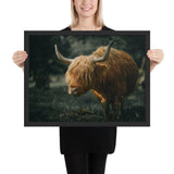 Tableau Vache Highland XXL