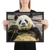 Tableau Panda Repos moyen cadre