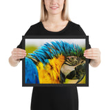 Tableau avec Perroquet Colorés Yeux Verts