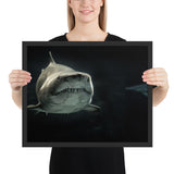 Tableau Requin Noir & Blanc