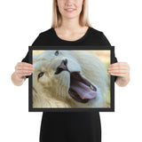 Tableau Animaux Lion Blanc