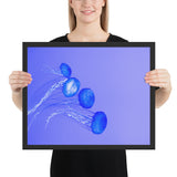 Tableau  de Méduse Bleues Petites