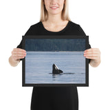 Tableau Orque Solitaire dans l'Océan