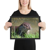 Tableau Animaux Loutre Mignonne