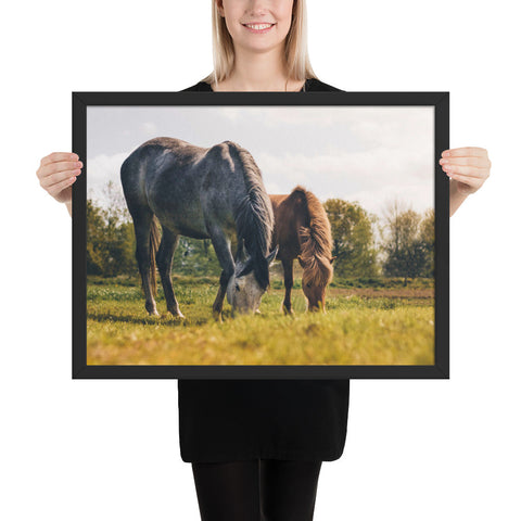 Tableau Chevaux des Prairie