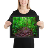 Tableau jungle arbre mystérieux aux multiples racines