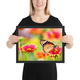 Tableau déco Papillons Butinant