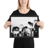 Tableau Animaux avec Vaches Noir et Blanc