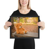 Tableau Animaux Ours Peluche sur un Banc