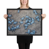 Tableau Tortue de Sable Fin