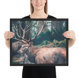 Tableau Cerf Montagne Sauvage