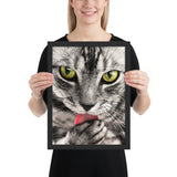 Tableau Animaux Chat Coloré