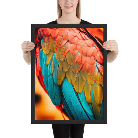 Tableau avec des Plumes d'Oiseaux bleues