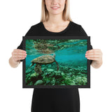 Tableau Tortue de Mer Moderne