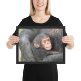 Tableau Animaux Chimpanzé et son Bébé