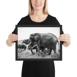 Tableau Animaux Eléphant en Noir et Blanc Puissant