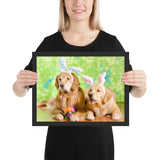 Tableau avec chien habillé les labradors