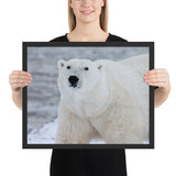 Tableau Ours Blanc Fort