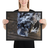 Tableau Bulldog Moderne