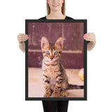 Tableau Chaton Tigre Bengal