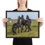 Tableau  Cheval Noir en Réunion