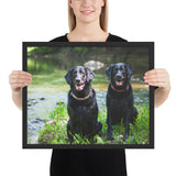 Tableau Labradors Noirs (Chien)
