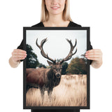 Tableau  Cerf Sauvage Fixant