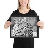 Tableau Léopard Monochrome Observant