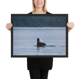 Tableau Orque Solitaire Nageant