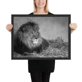 Tableau  de Lion Noir et Blanc et Roi