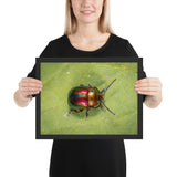 Tableau Animaux Scarabée