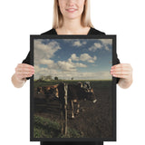 Tableau de Vache Moderne Noire