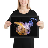 Tableau de Méduse Déco