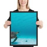 Tableau Tortue Marine en Mer