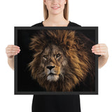 Tableau Tête de Lion Sauvage