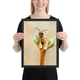 Tableau Animaux Abeille
