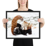 Tableau Panda Roux Enfant