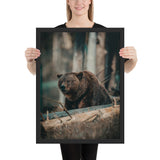 Tableau Ours Montagne Suisse