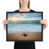 Tableau Tortue de Mer Perdue