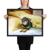 Tableau Chihuahua Rigolo Langue Pendu