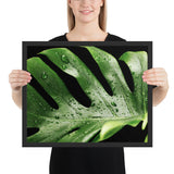 Tableau jungle tropical vert mouillé