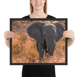 Tableau Eléphant dans la Savane Sauvage