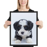 Tableau Chiot Blanc et noir