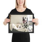 Tableau Dalmatien Heureux sur le Lit