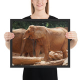 Tableau  Eléphant Indien Orangé