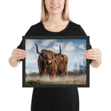 Tableau Animaux Vache Ecossaise sûre d'Elle